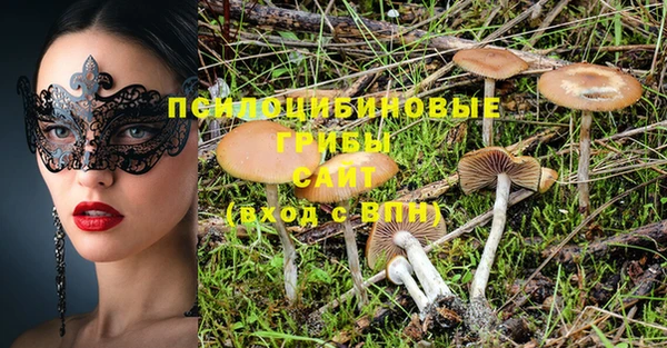 mdpv Покачи