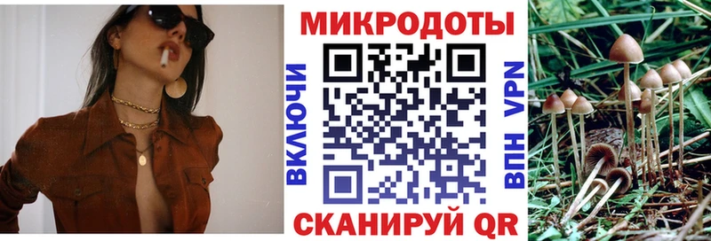 купить   Хотьково  Псилоцибиновые грибы GOLDEN TEACHER 